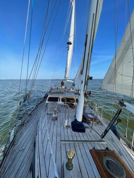 Classic Sailing Ship In Center Of Enkhuizen! 외부 사진